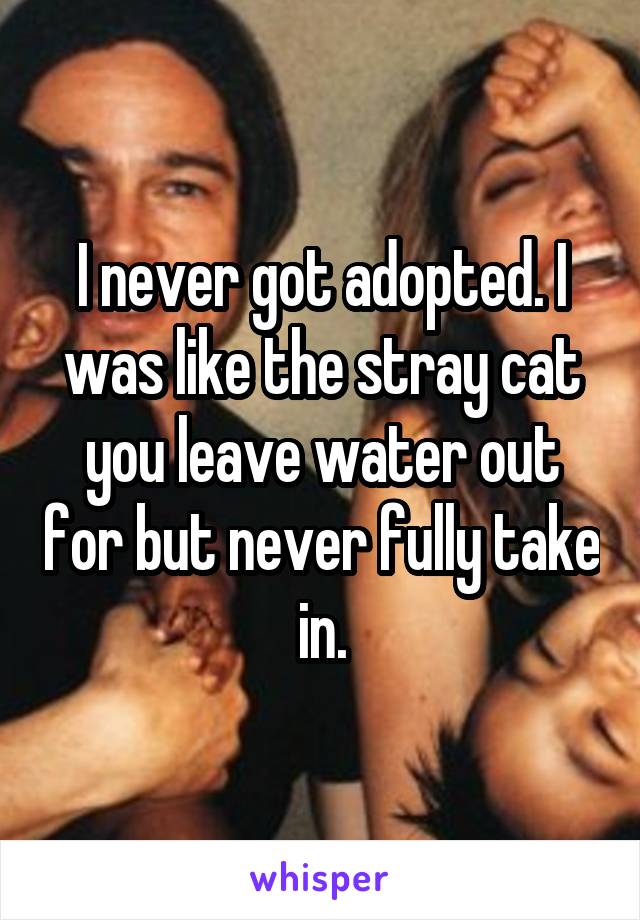 I never got adopted. I was like the stray cat you leave water out for but never fully take in.