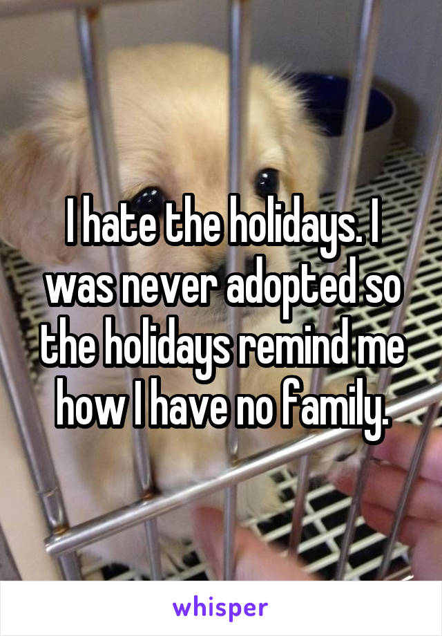 I hate the holidays. I was never adopted so the holidays remind me how I have no family.