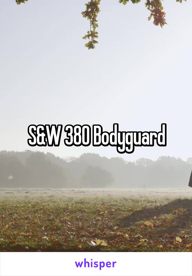 S&W 380 Bodyguard