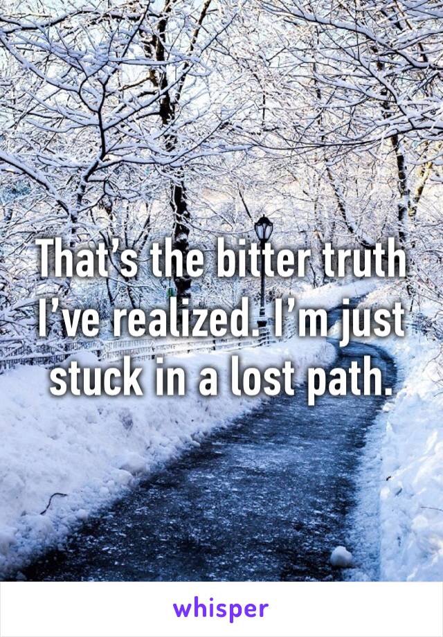 That’s the bitter truth I’ve realized. I’m just stuck in a lost path. 