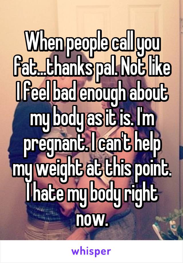 When people call you fat...thanks pal. Not like I feel bad enough about my body as it is. I'm pregnant. I can't help my weight at this point. I hate my body right now.