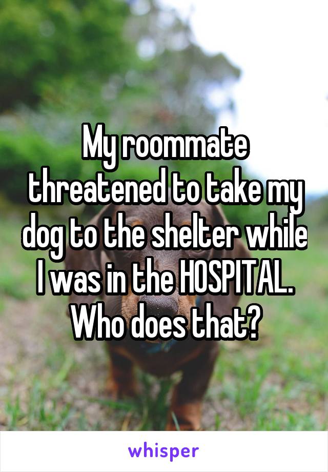 My roommate threatened to take my dog to the shelter while I was in the HOSPITAL. Who does that?