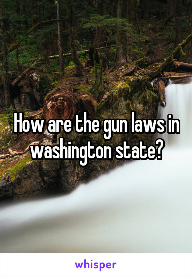 How are the gun laws in washington state?