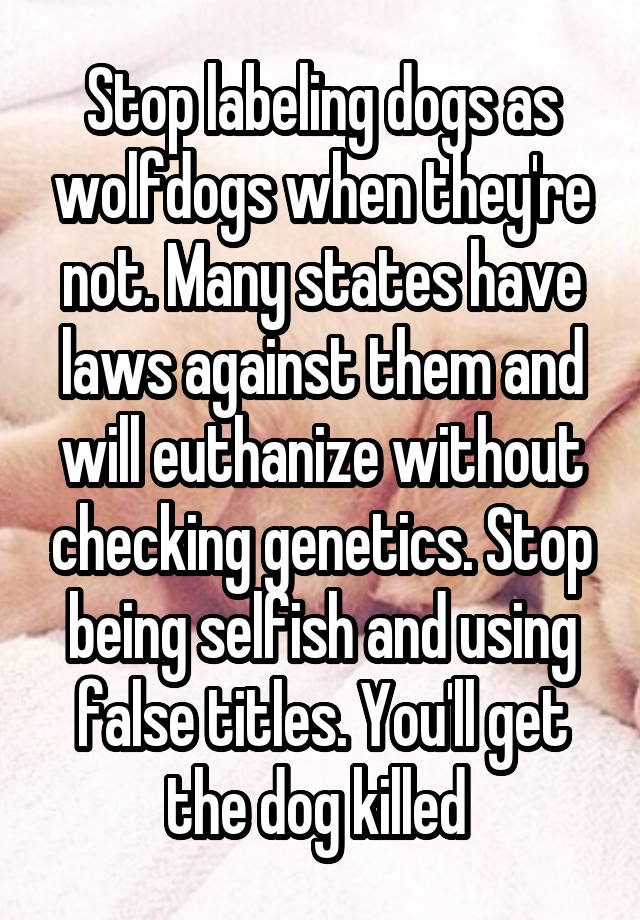 Stop labeling dogs as wolfdogs when they're not. Many states have laws against them and will euthanize without checking genetics. Stop being selfish and using false titles. You'll get the dog killed 