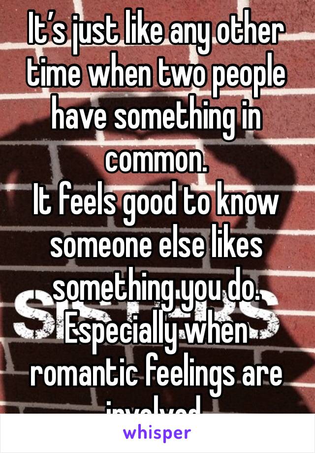 It’s just like any other time when two people have something in common. 
It feels good to know someone else likes something you do. Especially when romantic feelings are involved.