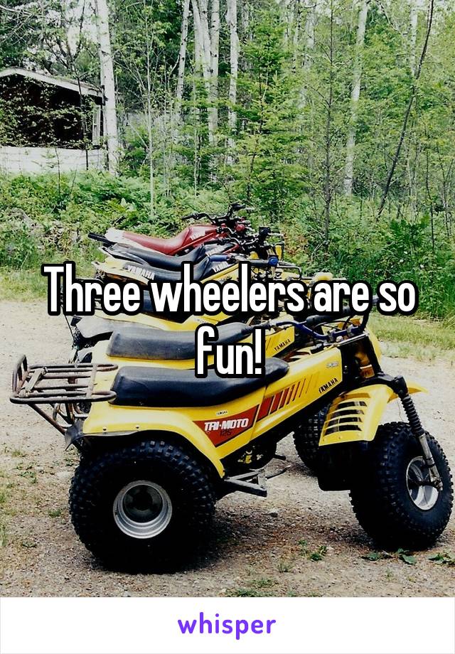 Three wheelers are so fun!