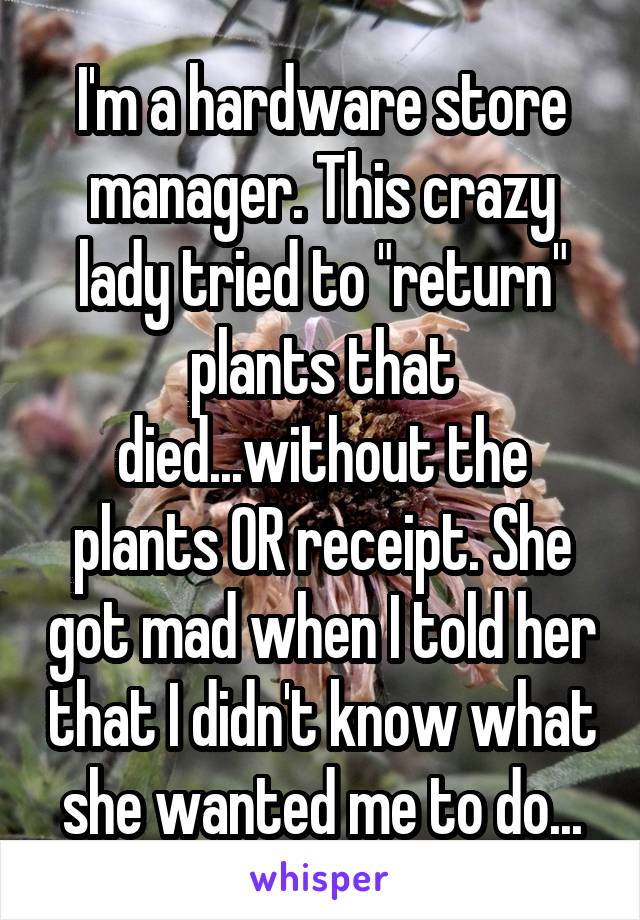 I'm a hardware store manager. This crazy lady tried to "return" plants that died...without the plants OR receipt. She got mad when I told her that I didn't know what she wanted me to do...