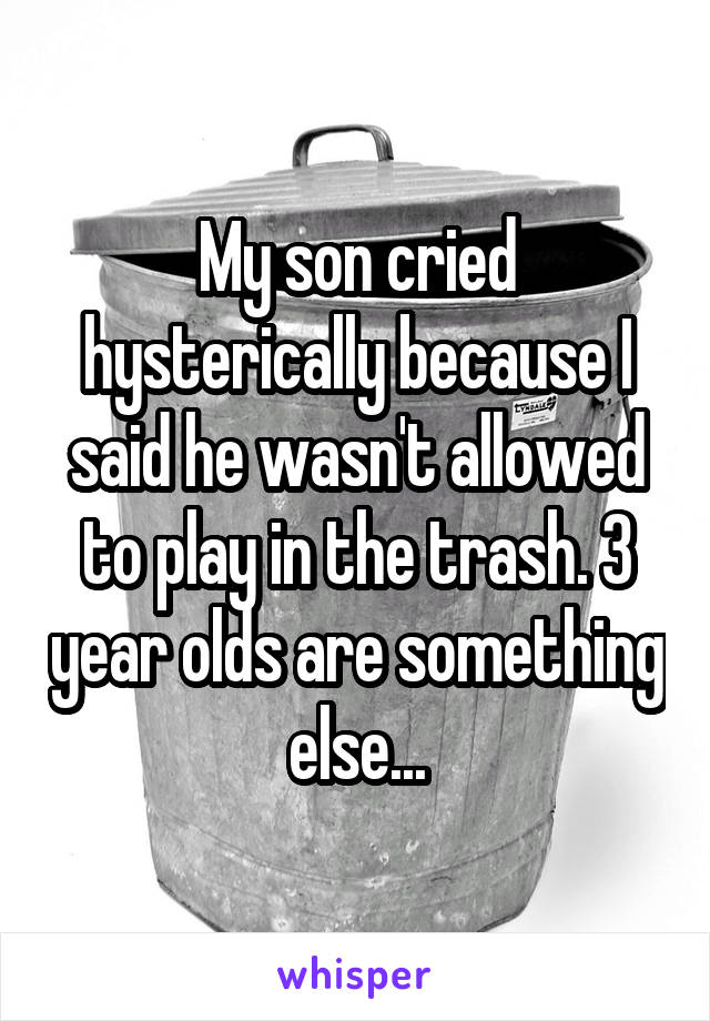 My son cried hysterically because I said he wasn't allowed to play in the trash. 3 year olds are something else...