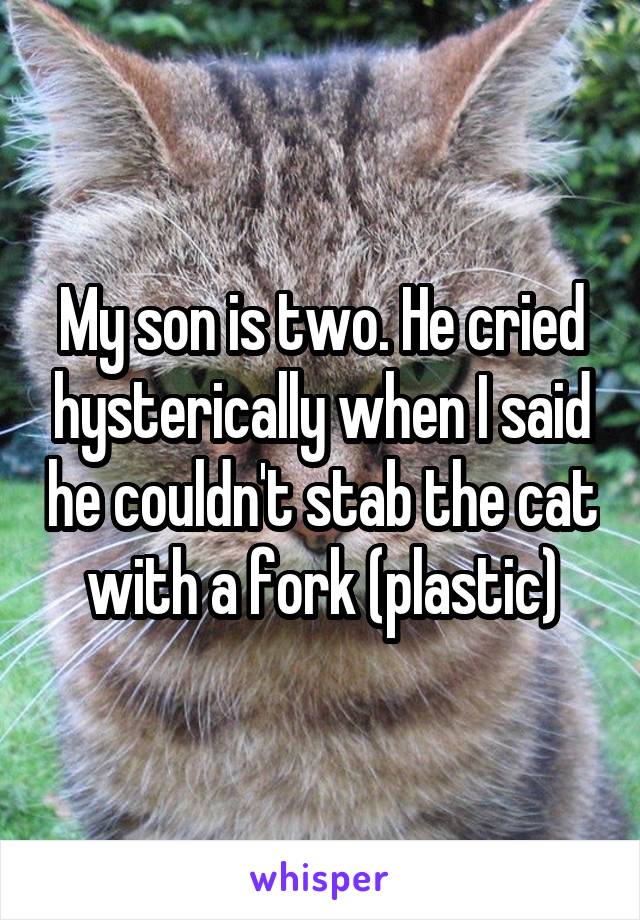 My son is two. He cried hysterically when I said he couldn't stab the cat with a fork (plastic)