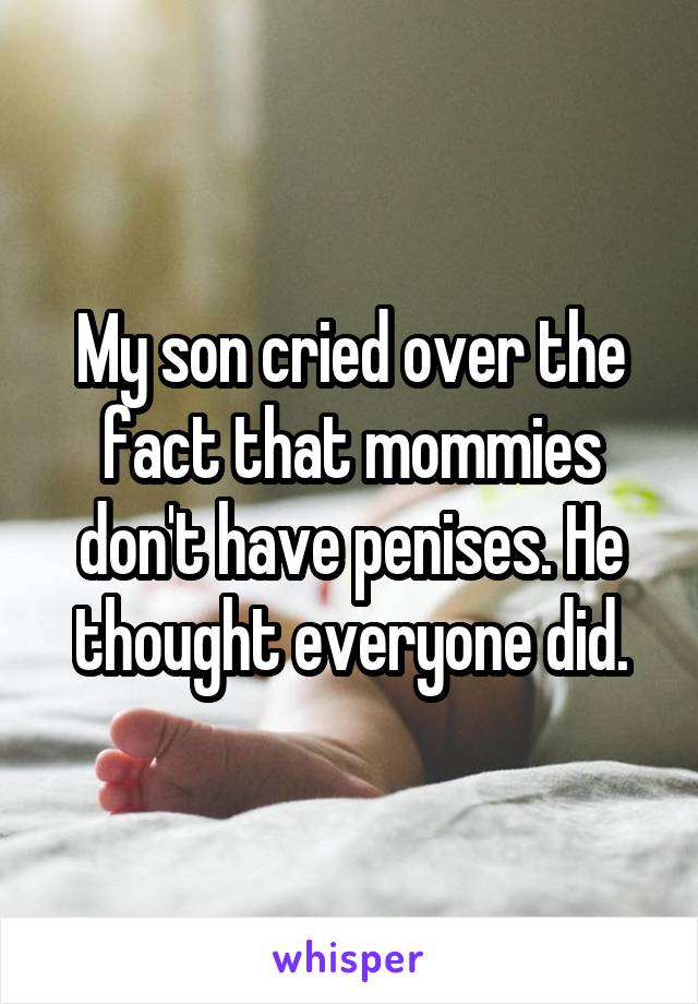 My son cried over the fact that mommies don't have penises. He thought everyone did.