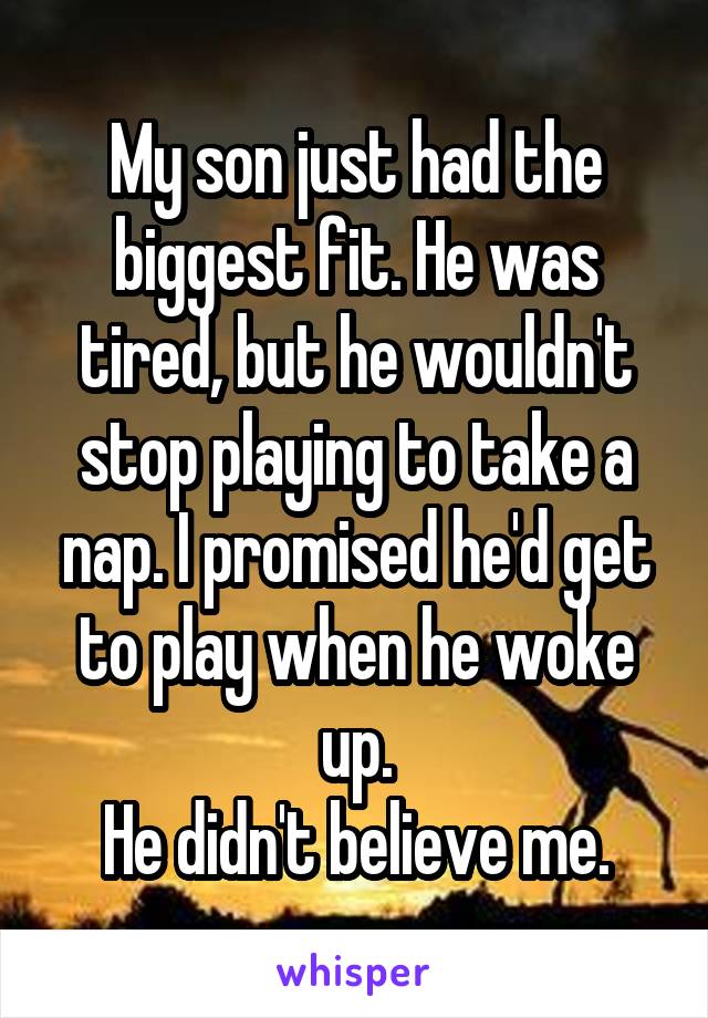 My son just had the biggest fit. He was tired, but he wouldn't stop playing to take a nap. I promised he'd get to play when he woke up.
He didn't believe me.