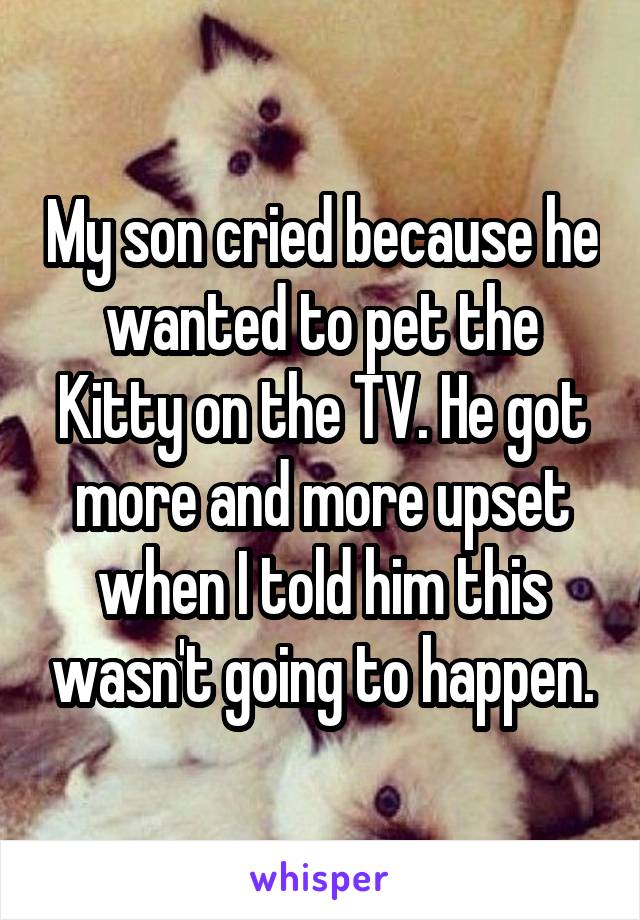 My son cried because he wanted to pet the Kitty on the TV. He got more and more upset when I told him this wasn't going to happen.