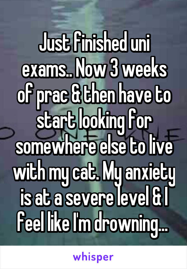 Just finished uni exams.. Now 3 weeks of prac & then have to start looking for somewhere else to live with my cat. My anxiety is at a severe level & I feel like I'm drowning... 