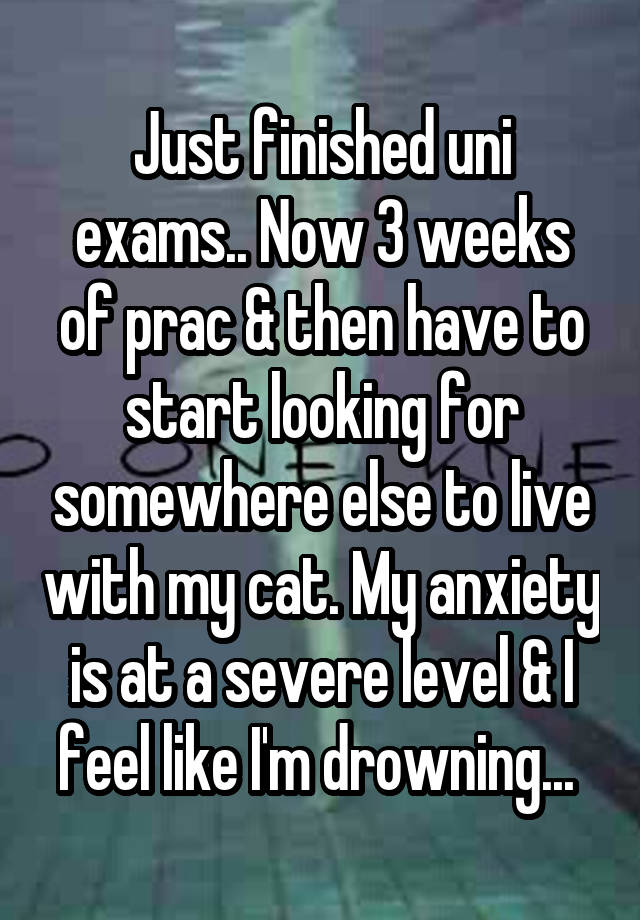 Just finished uni exams.. Now 3 weeks of prac & then have to start looking for somewhere else to live with my cat. My anxiety is at a severe level & I feel like I'm drowning... 