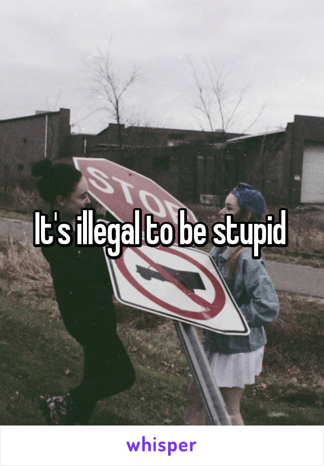 It's illegal to be stupid 