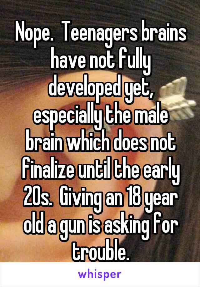 Nope.  Teenagers brains have not fully developed yet, especially the male brain which does not finalize until the early 20s.  Giving an 18 year old a gun is asking for trouble.