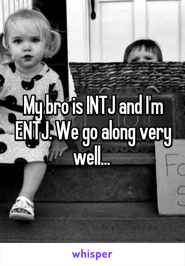 My bro is INTJ and I'm ENTJ. We go along very well... 