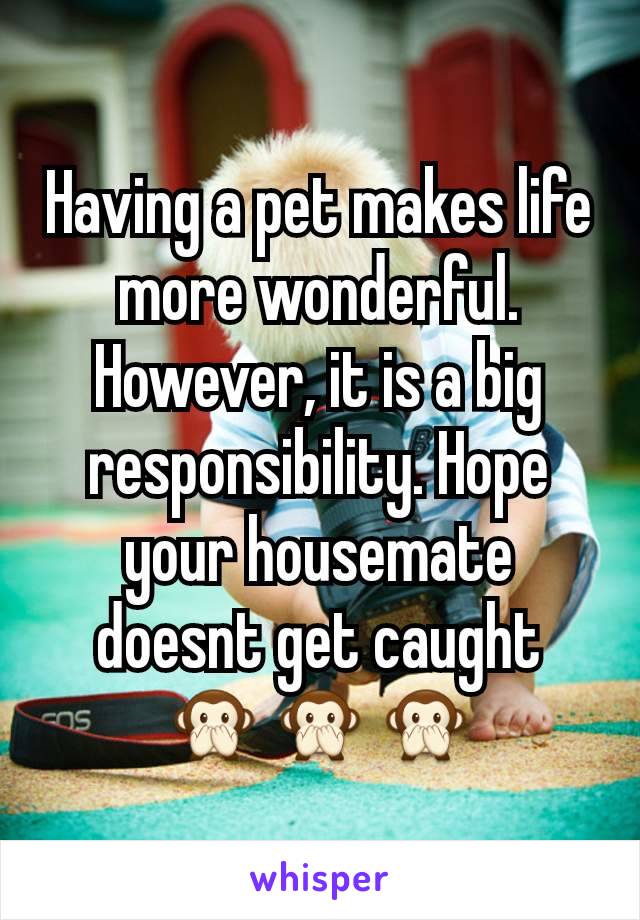 Having a pet makes life more wonderful. However, it is a big responsibility. Hope your housemate doesnt get caught 🙊🙊🙊