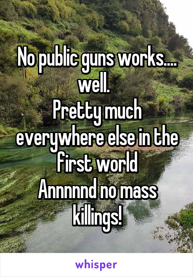 No public guns works.... well.  
Pretty much everywhere else in the first world
Annnnnd no mass killings!