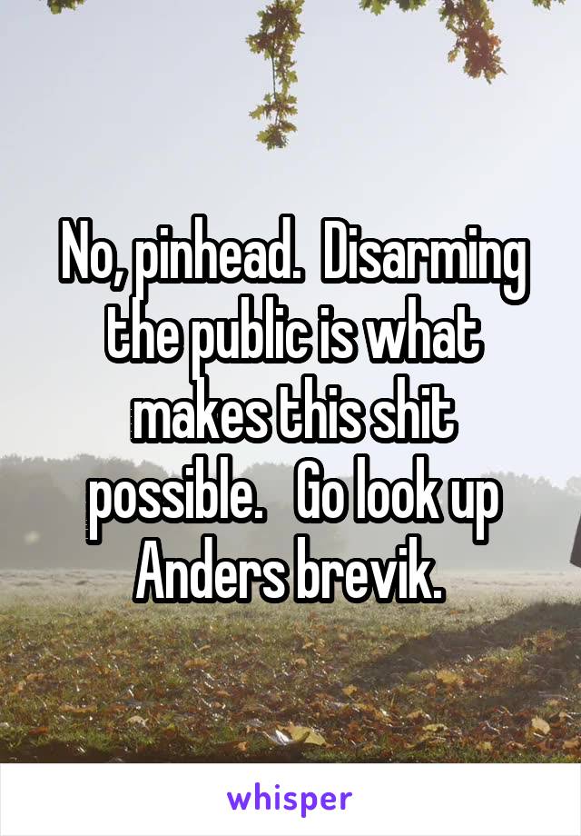 No, pinhead.  Disarming the public is what makes this shit possible.   Go look up Anders brevik. 