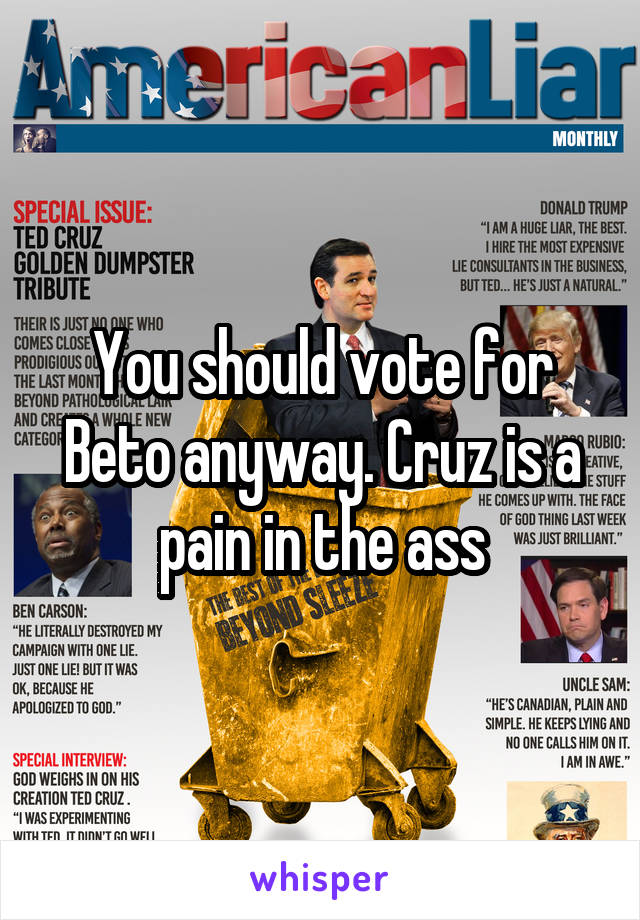 You should vote for Beto anyway. Cruz is a pain in the ass