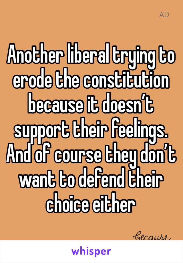 Another liberal trying to erode the constitution because it doesn’t support their feelings. And of course they don’t want to defend their choice either