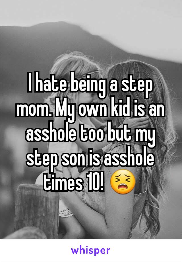 I hate being a step mom. My own kid is an asshole too but my step son is asshole times 10! 😣