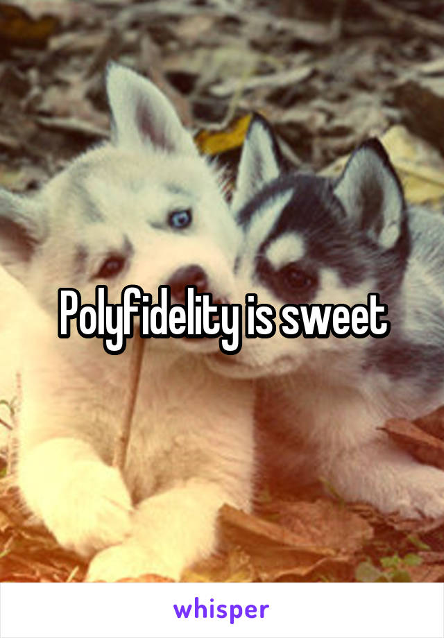 Polyfidelity is sweet