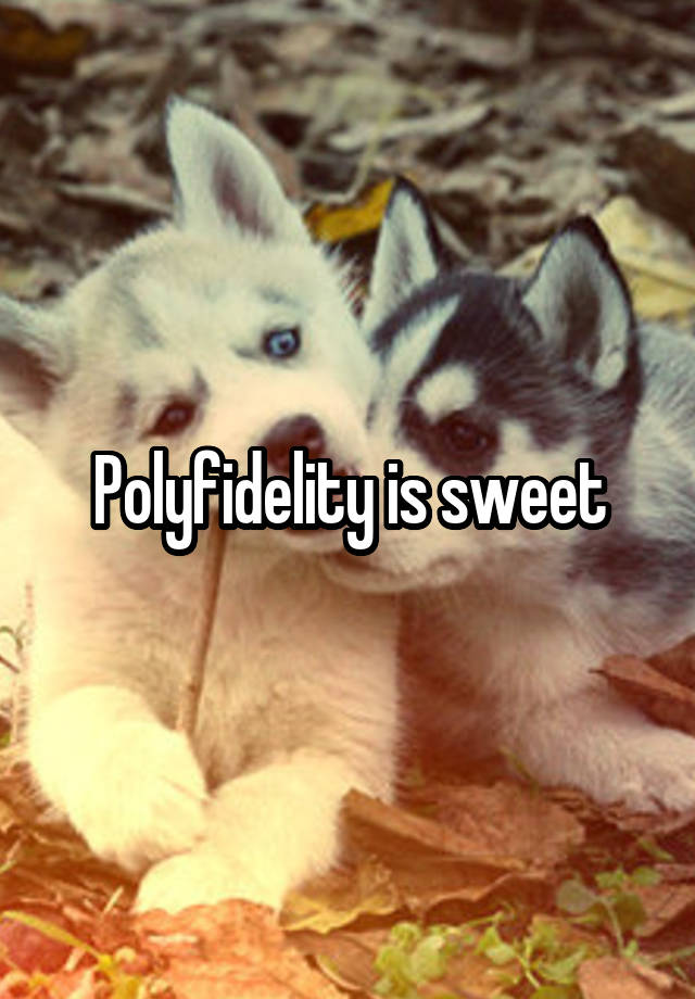 Polyfidelity is sweet