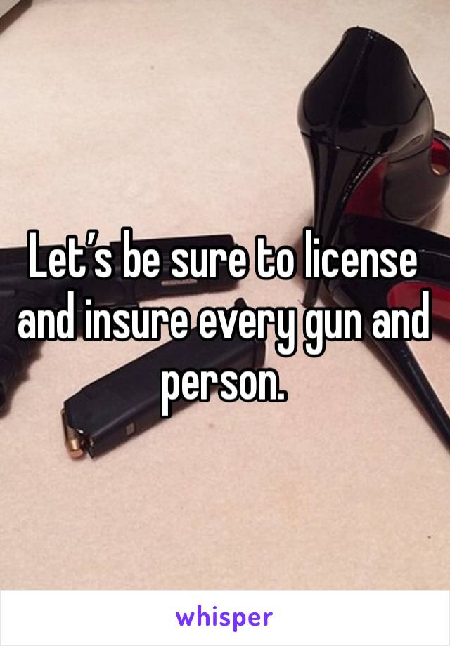 Let’s be sure to license and insure every gun and person. 