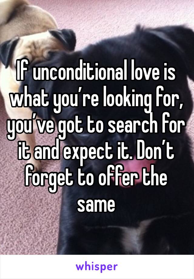 If unconditional love is what you’re looking for, you’ve got to search for it and expect it. Don’t forget to offer the same