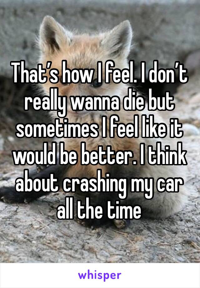 That’s how I feel. I don’t really wanna die but sometimes I feel like it would be better. I think about crashing my car all the time