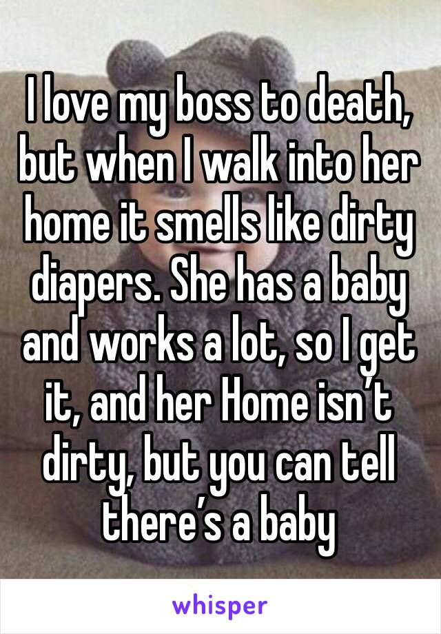 I love my boss to death, but when I walk into her home it smells like dirty diapers. She has a baby and works a lot, so I get it, and her Home isn’t dirty, but you can tell there’s a baby