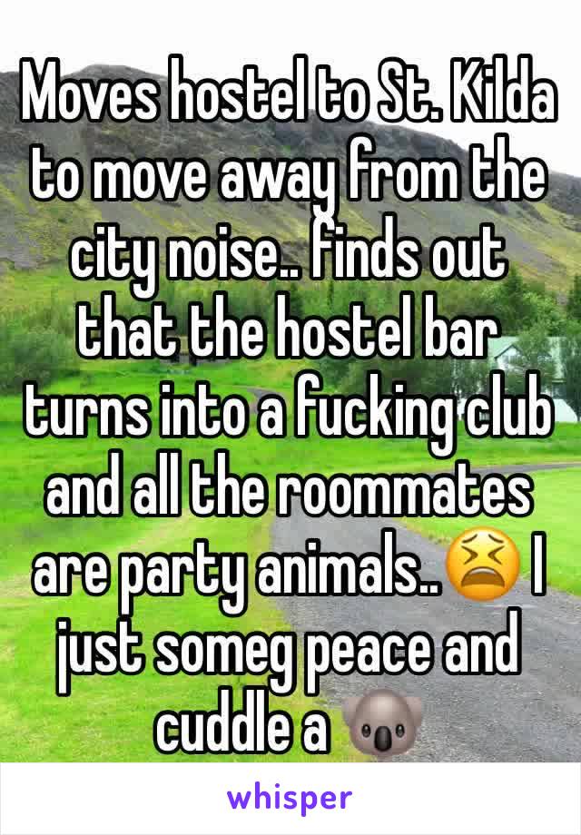 Moves hostel to St. Kilda to move away from the city noise.. finds out that the hostel bar turns into a fucking club and all the roommates are party animals..😫 I just someg peace and cuddle a 🐨