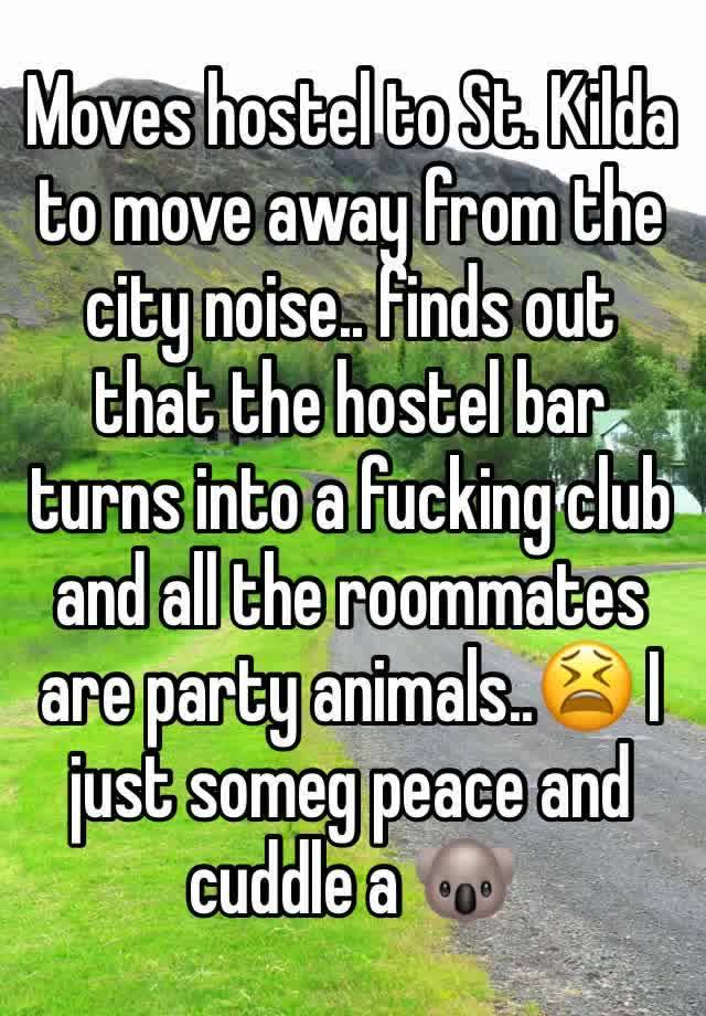 Moves hostel to St. Kilda to move away from the city noise.. finds out that the hostel bar turns into a fucking club and all the roommates are party animals..😫 I just someg peace and cuddle a 🐨