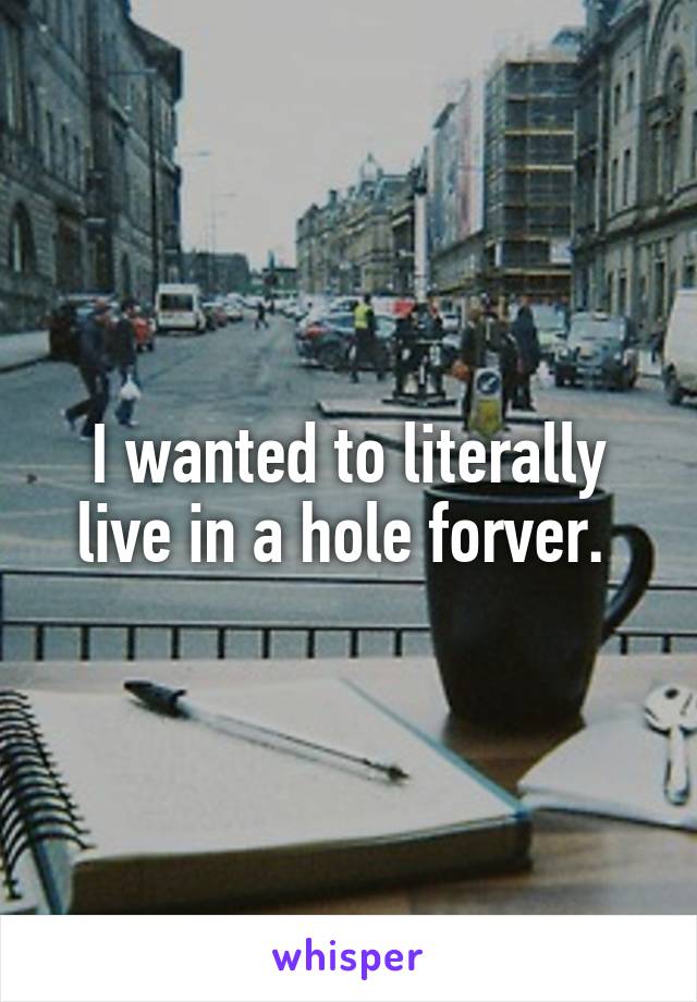 I wanted to literally live in a hole forver. 