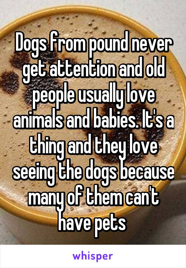 Dogs from pound never get attention and old people usually love animals and babies. It's a thing and they love seeing the dogs because many of them can't have pets 