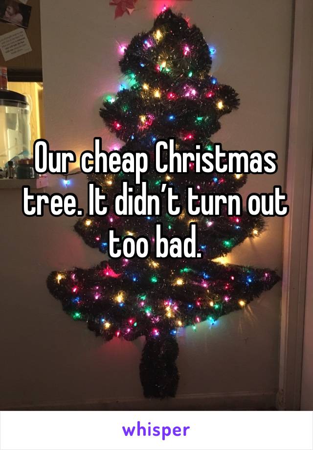 Our cheap Christmas tree. It didn’t turn out too bad. 