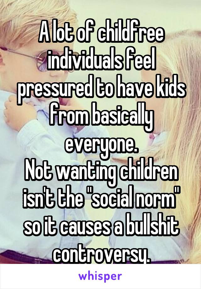 A lot of childfree individuals feel pressured to have kids from basically everyone.
Not wanting children isn't the "social norm" so it causes a bullshit controversy.