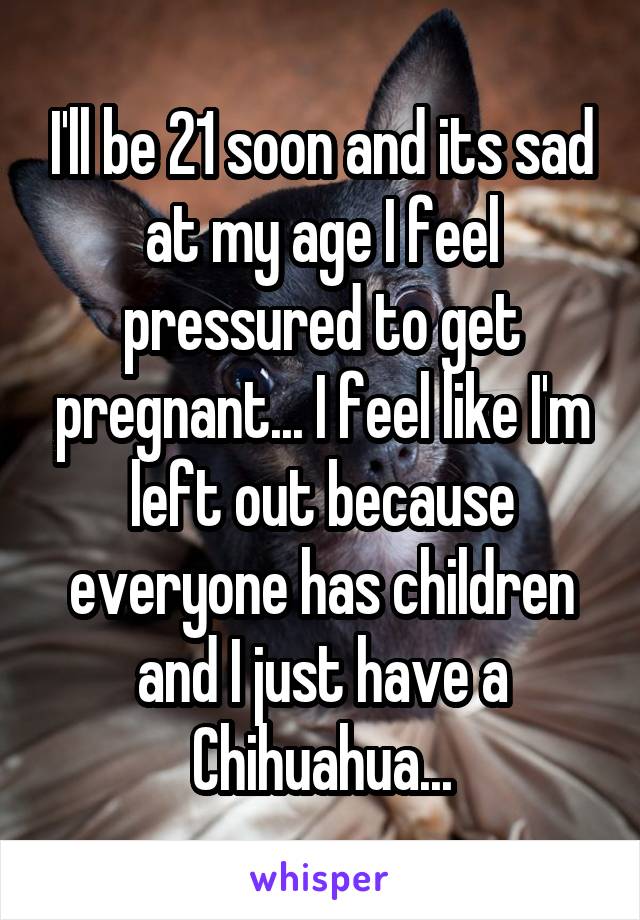 I'll be 21 soon and its sad at my age I feel pressured to get pregnant... I feel like I'm left out because everyone has children and I just have a Chihuahua...