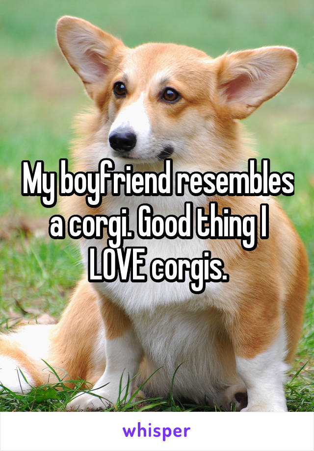 My boyfriend resembles a corgi. Good thing I LOVE corgis.