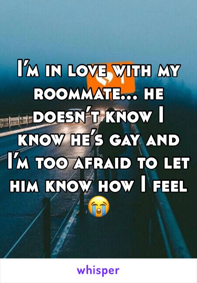 I’m in love with my roommate... he doesn’t know I know he’s gay and I’m too afraid to let him know how I feel 😭