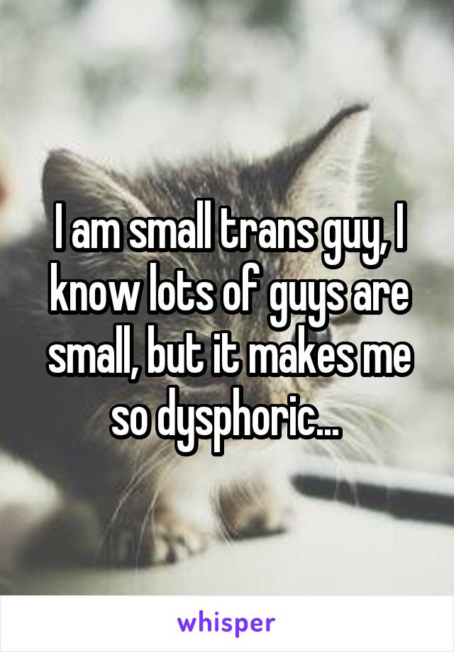I am small trans guy, I know lots of guys are small, but it makes me so dysphoric... 