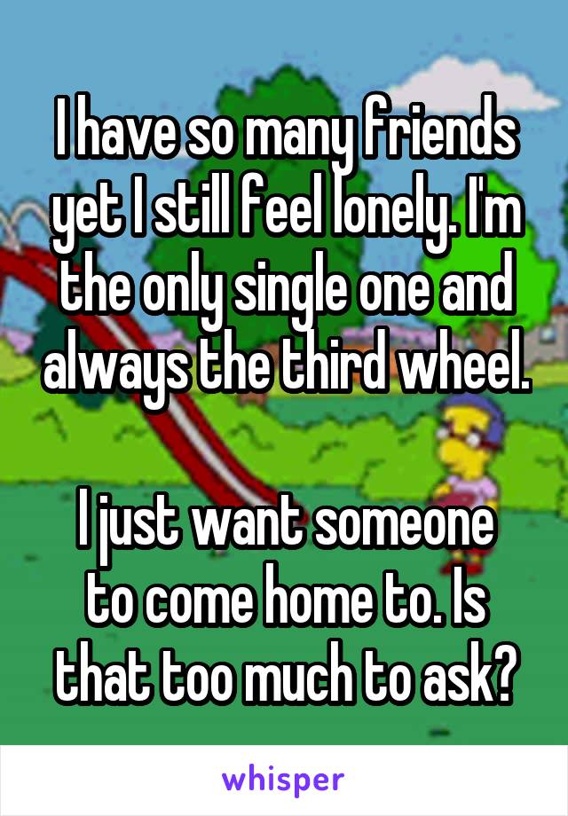 I have so many friends yet I still feel lonely. I'm the only single one and always the third wheel.

I just want someone to come home to. Is that too much to ask?