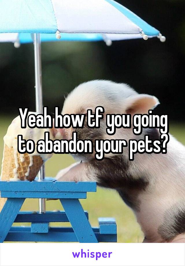 Yeah how tf you going to abandon your pets?