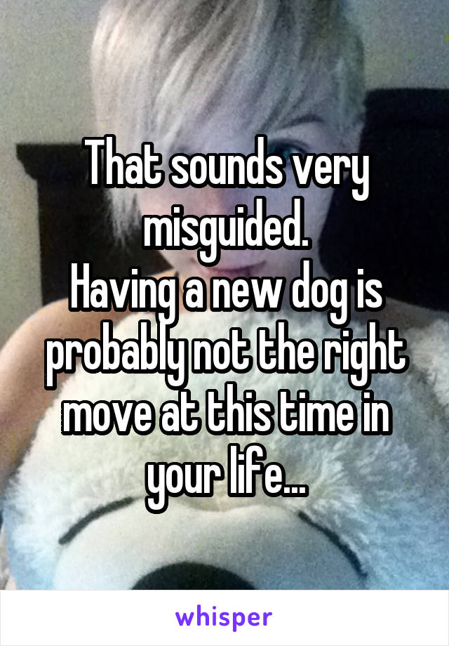 That sounds very misguided.
Having a new dog is probably not the right move at this time in your life...