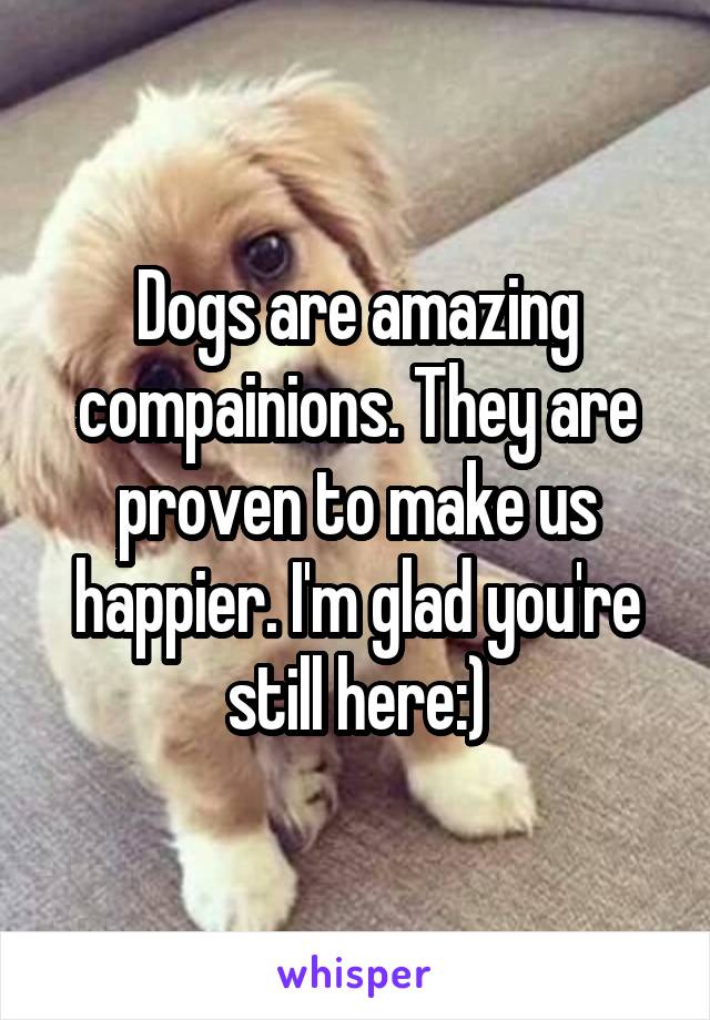 Dogs are amazing compainions. They are proven to make us happier. I'm glad you're still here:)