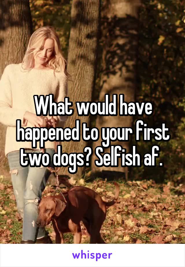 What would have happened to your first two dogs? Selfish af. 