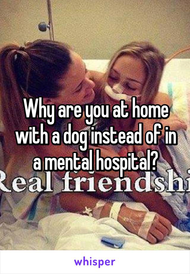 Why are you at home with a dog instead of in a mental hospital?