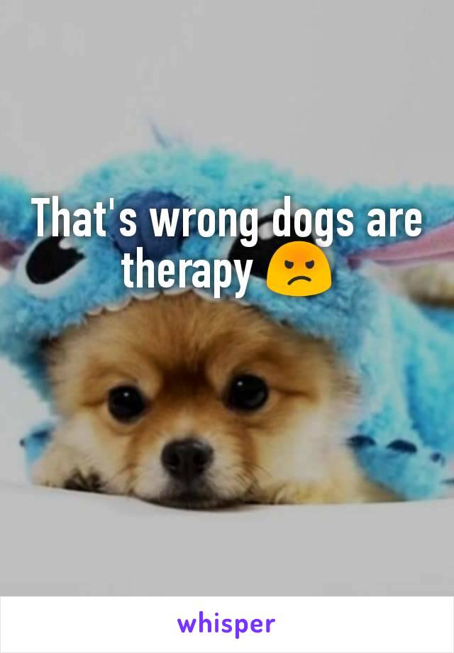 That's wrong dogs are therapy 😡